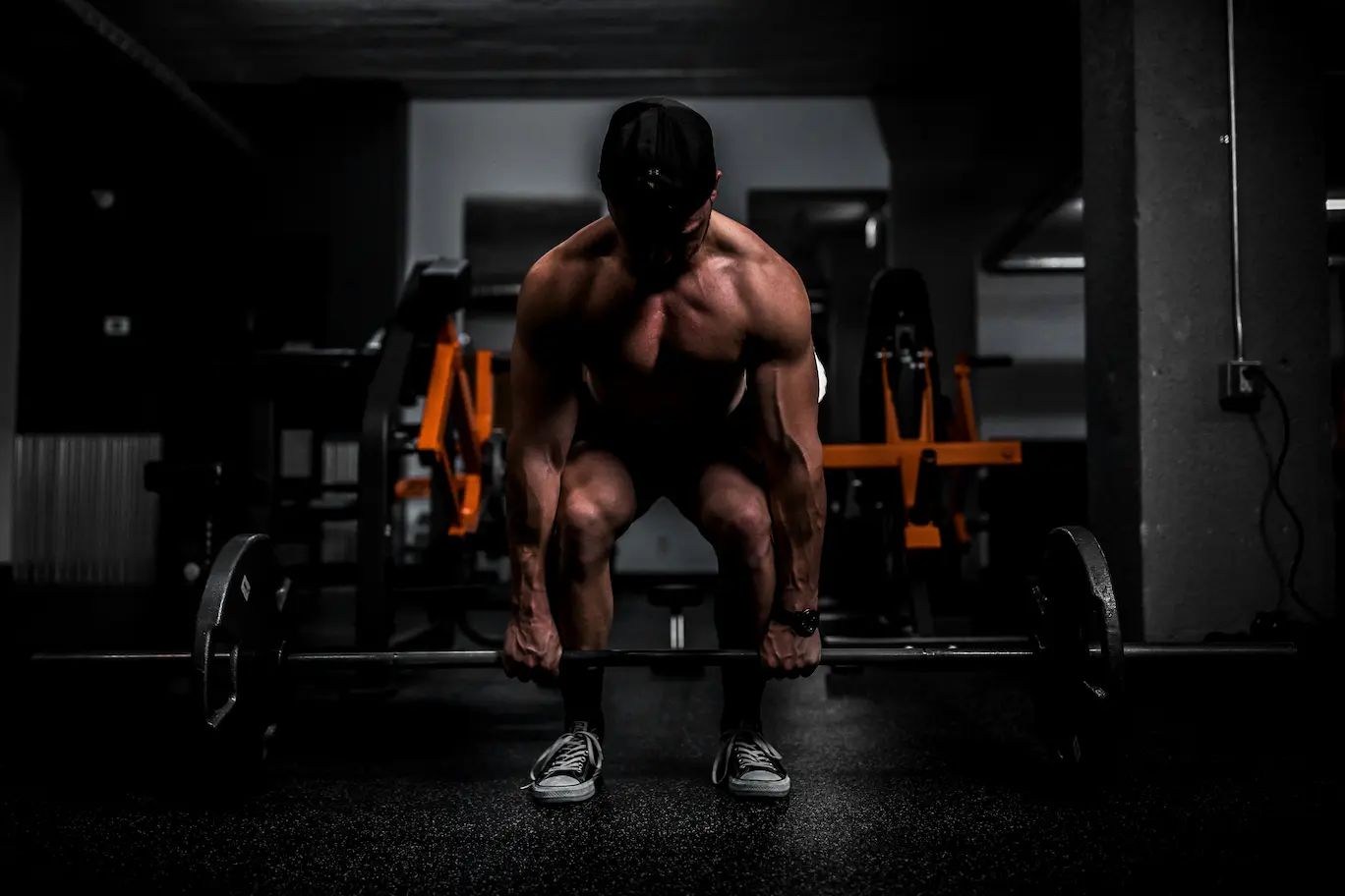 Best Steroids for Muscle Mass in 2026