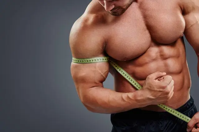 Muscle &Amp; Strength Gains During Turinabol Cycle.
