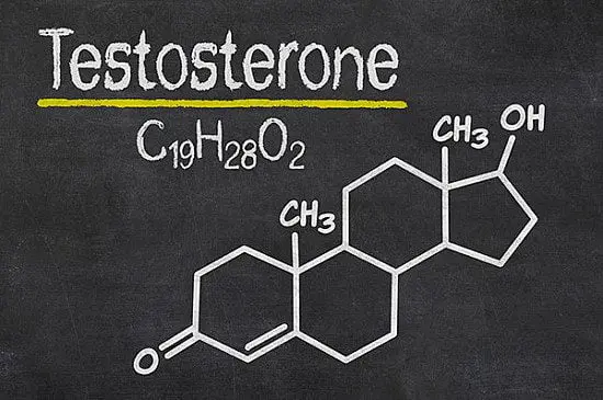 Testosterone Structure 1