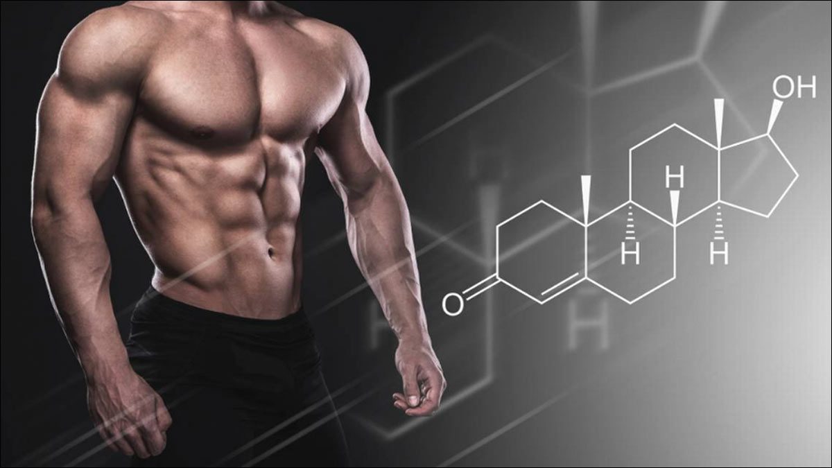 Understanding Anabolic Steroids: A Beginner’s Guide