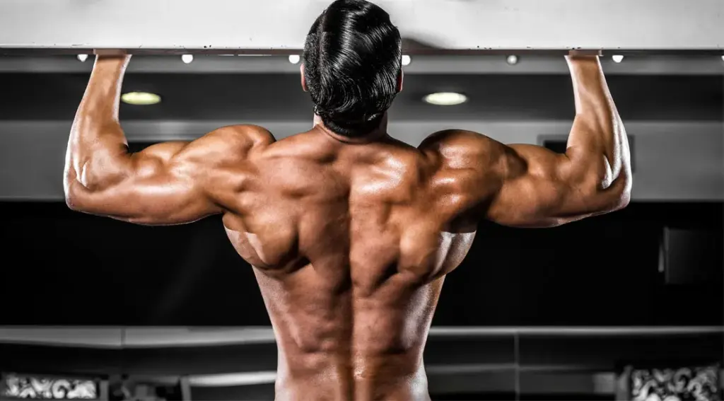A muscular person performing a pull-up, showcasing well-defined back and arm muscles, highlighting the benefits of muscle hardening and strength training associated with drostanolone.