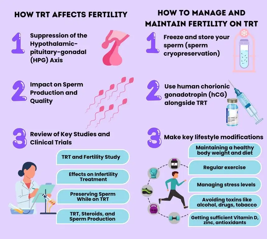 Infographic illustrating the effects of testosterone replacement therapy (TRT) on fertility, detailing three main points: suppression of the hypothalamic-pituitary-gonadal (HPG) axis, impact on sperm production and quality, and review of key studies and clinical trials. The right side provides strategies to manage and maintain fertility on TRT, including sperm cryopreservation, using human chorionic gonadotropin (hCG), and making lifestyle modifications such as maintaining a healthy body weight, regular exercise, managing stress, avoiding toxins, and ensuring adequate vitamin D and zinc intake.