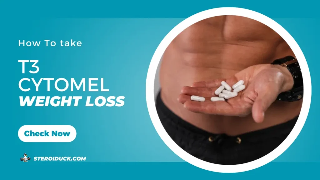 How to Use T3 for Safe and Efficient Weight Loss
