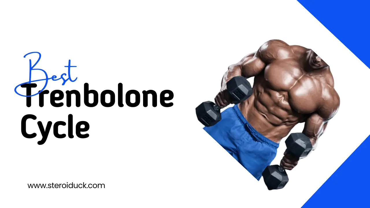 Trenbolone Cycle article header