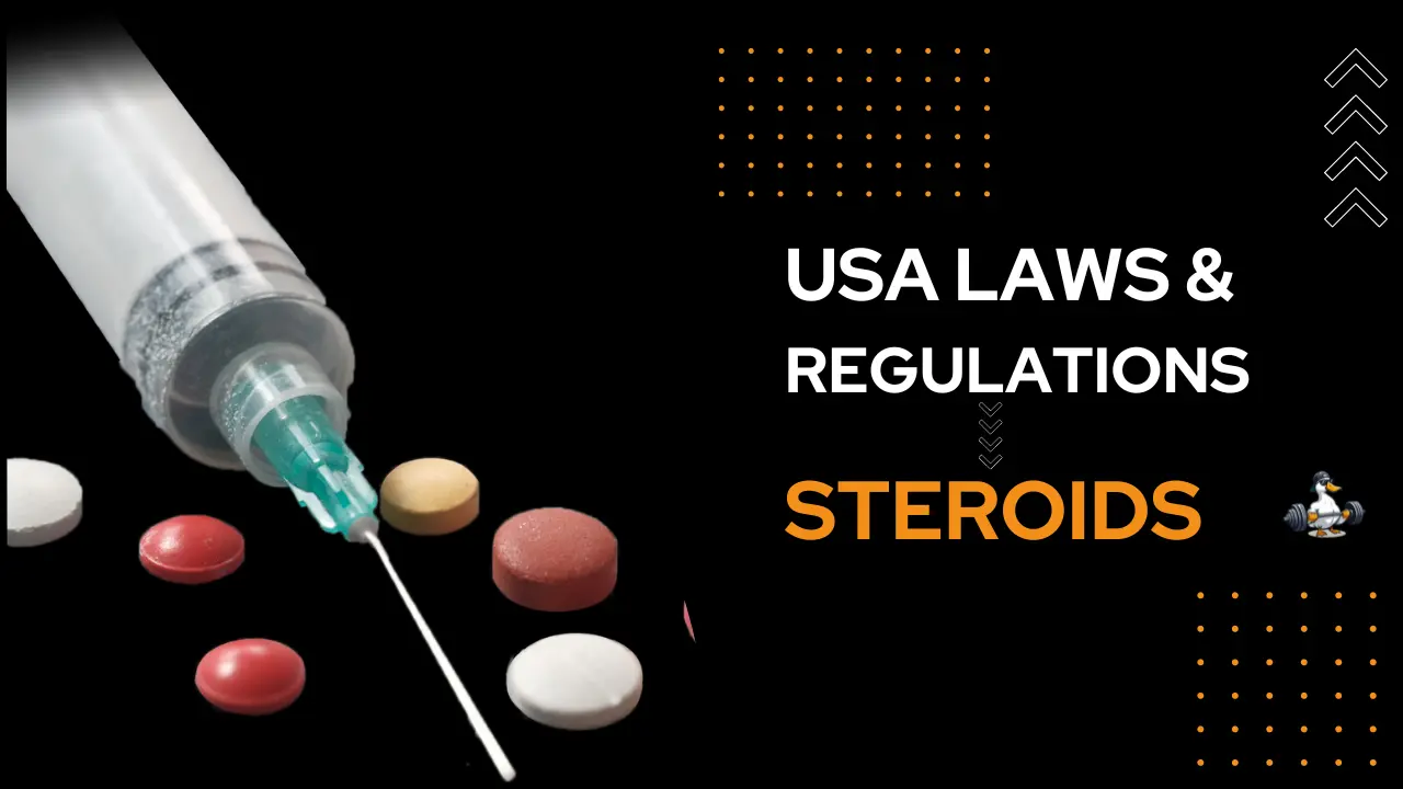 Laws & Regulations on steroids in USA article header