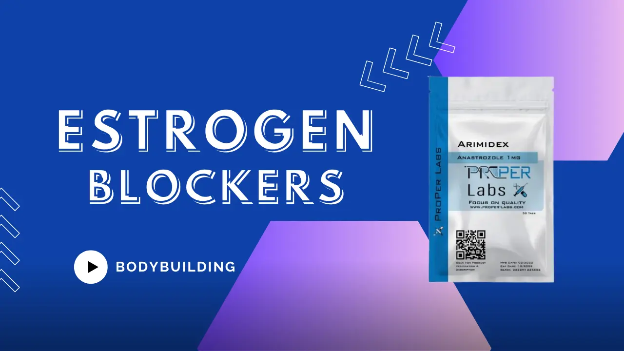 Estrogen Blockers In Bodybuilding - Article Header