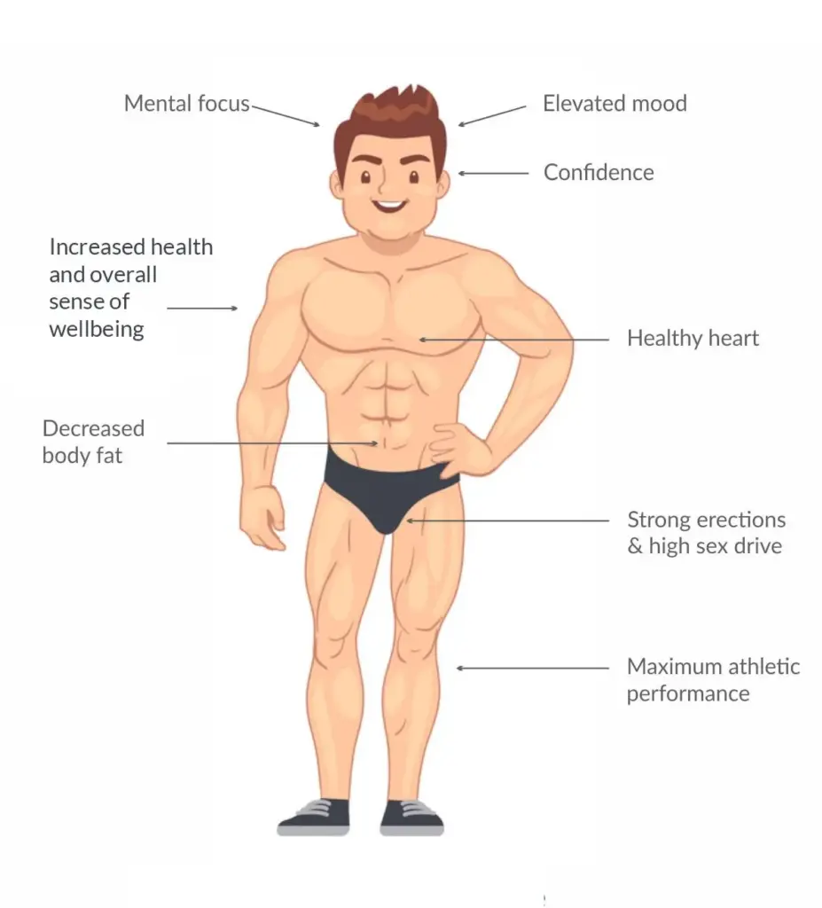 Testosterone Replacement Therapy (Trt) And It's Role